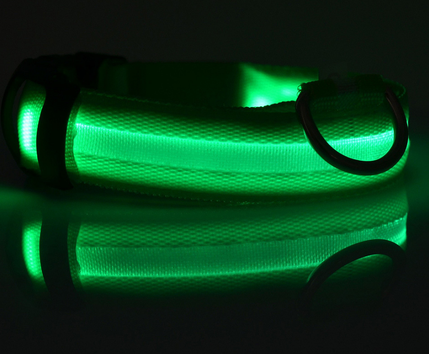 LED Dog Collar – Keep Your Dog Visible & Safe at Night