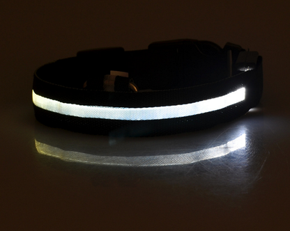 LED Dog Collar – Keep Your Dog Visible & Safe at Night