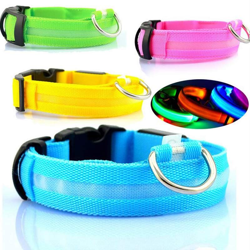 LED Dog Collar – Keep Your Dog Visible & Safe at Night