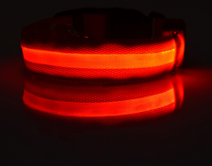 LED Dog Collar – Keep Your Dog Visible & Safe at Night
