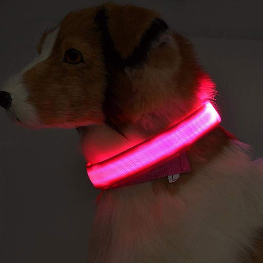 LED Dog Collar – Keep Your Dog Visible & Safe at Night