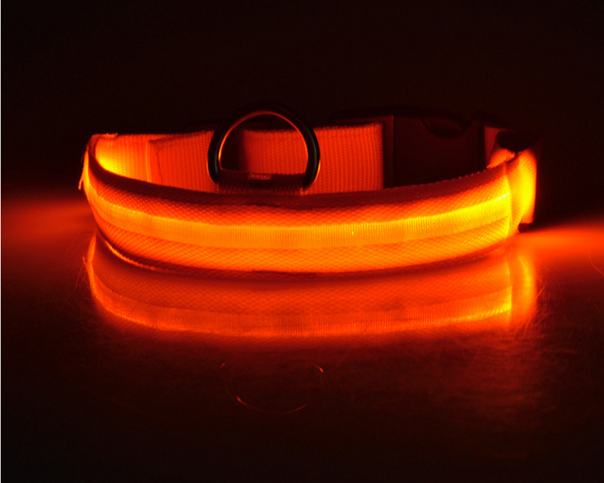 LED Dog Collar – Keep Your Dog Visible & Safe at Night