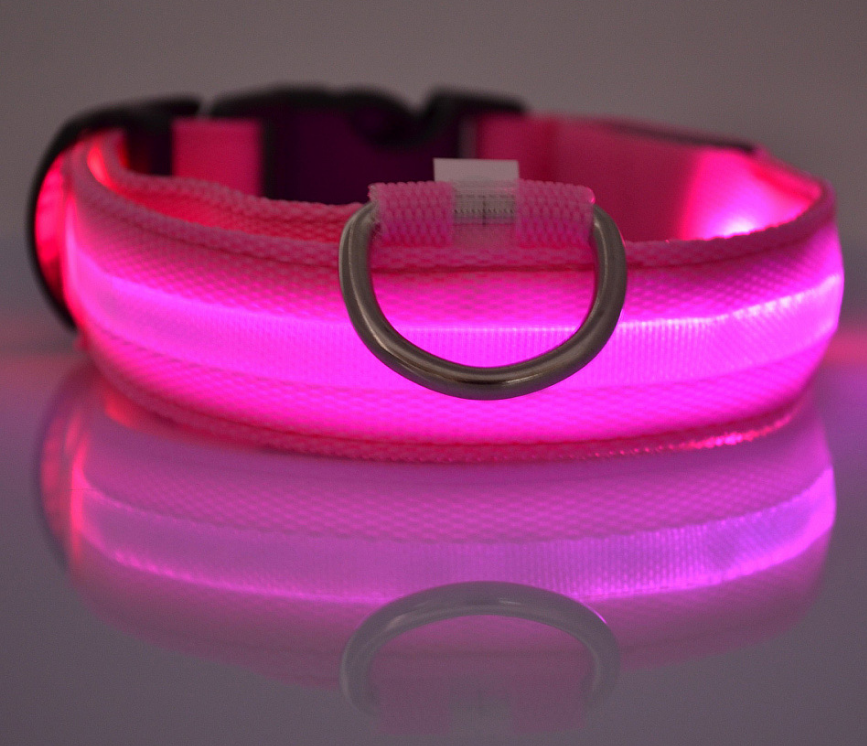 LED Dog Collar – Keep Your Dog Visible & Safe at Night