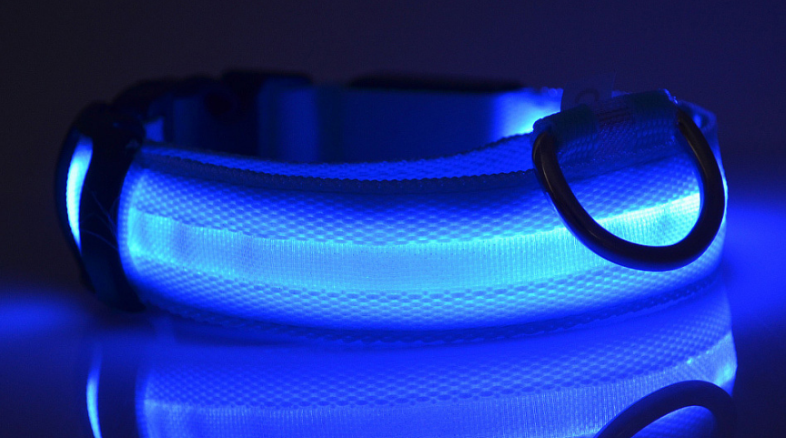 LED Dog Collar – Keep Your Dog Visible & Safe at Night