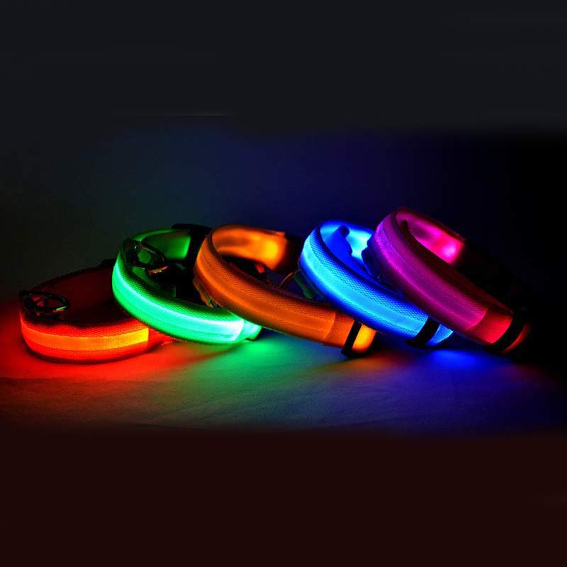 LED Dog Collar – Keep Your Dog Visible & Safe at Night