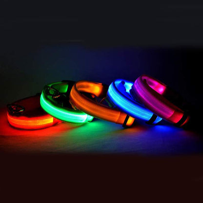LED Dog Collar – Keep Your Dog Visible & Safe at Night